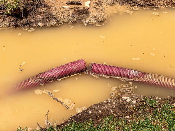 Best Mold removal after water damage  in El Dorado, KS