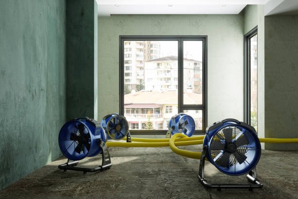 Best Local water damage restoration  in El Dorado, KS